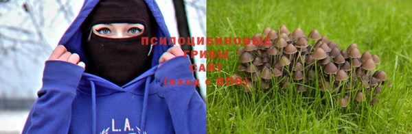 гашишное масло Заводоуковск